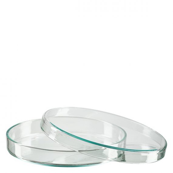 玻璃培养皿